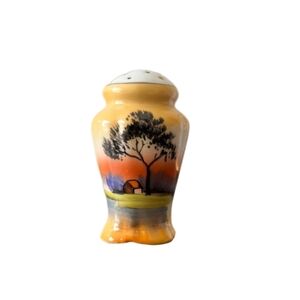 Vintage Hand Painted Ceramic Salt and Pepper Shaker